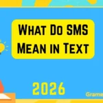 What Do SMS Mean in Text